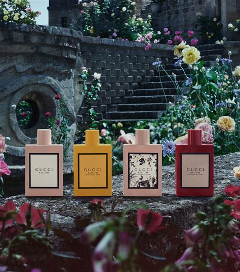 profumo gucci bloom